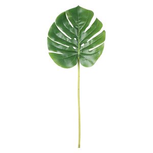 Monstera gałązka 51 cm 52259 Monstera gałązka 51 cm 52259
