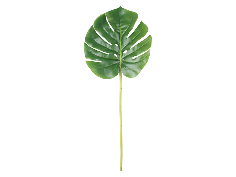 Monstera gałązka 51 cm 52259
