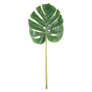 Monstera gałązka 72 cm 52260 Monstera gałązka 72 cm 52260