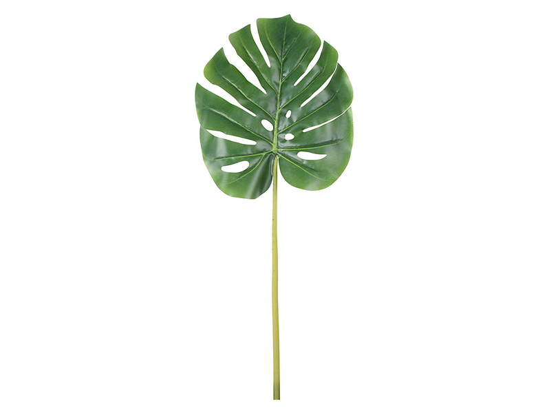Monstera gałązka 72 cm 52260