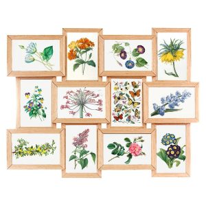 Multiramka na 12 zdjęć FINES, 45 x 59 cm 990157 Multiramka na 12 zdjęć FINES, 45 x 59 cm 990157