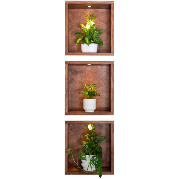 Naklejka 3D wnęki roślinne wyrwa efekt w ścianie 17x60 899476
