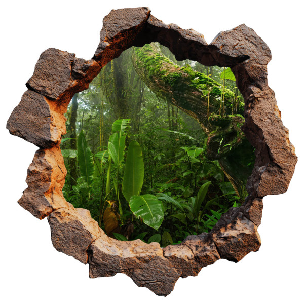 Naklejka dziura 3D wodne skały efekt dziury w ścianie 80x79 966925