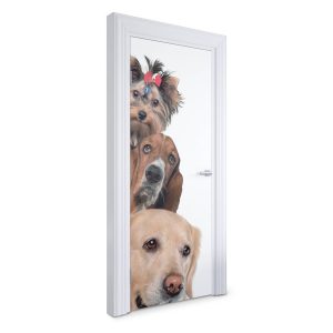 Naklejka na drzwi Trzy psy razem 75×205 cm Fototapeta 382999 Naklejka na drzwi Trzy psy razem 75×205 cm Fototapeta 382999