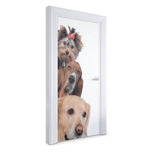 Naklejka na drzwi Trzy psy razem 95×205 cm Fototapeta 382992 Naklejka na drzwi Trzy psy razem 95×205 cm Fototapeta 382992