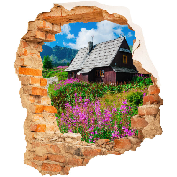 Naklejka wyrwa w ścianie rustykalny widok dziura 3D 68x80 899510