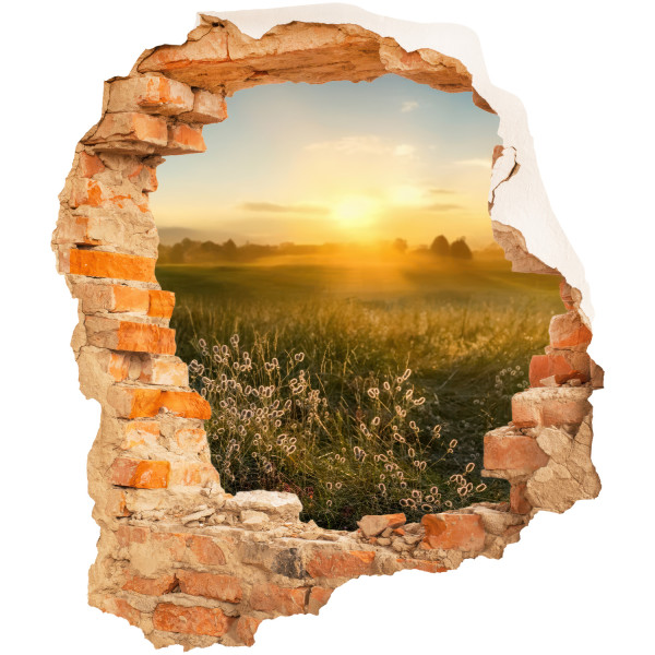 Naklejki dziury słoneczna łąka 3D efekt na ścianę 85x100 899496