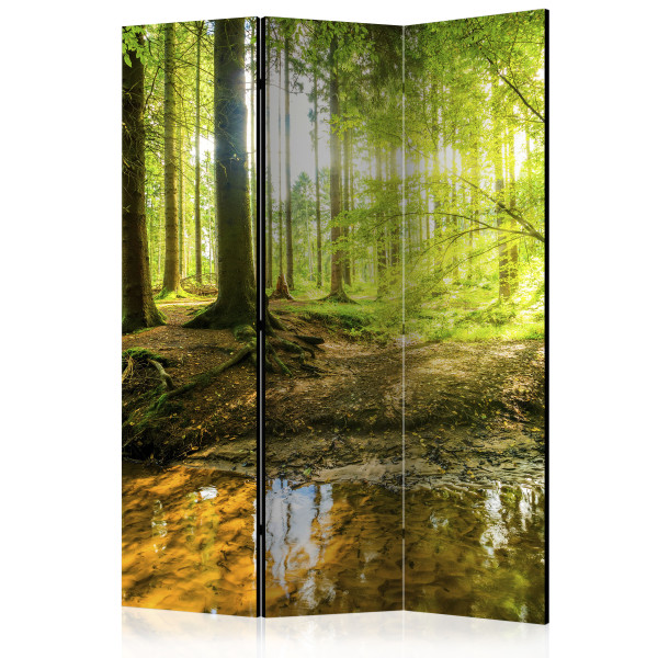 Parawan akustyczny Pejzaże 135 x 172 cm 1 szt 573097