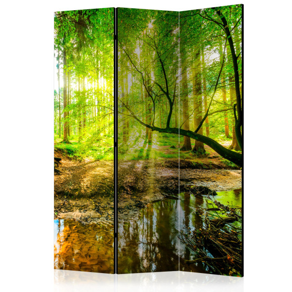 Parawan akustyczny Pejzaże 135 x 172 cm 1 szt 572761
