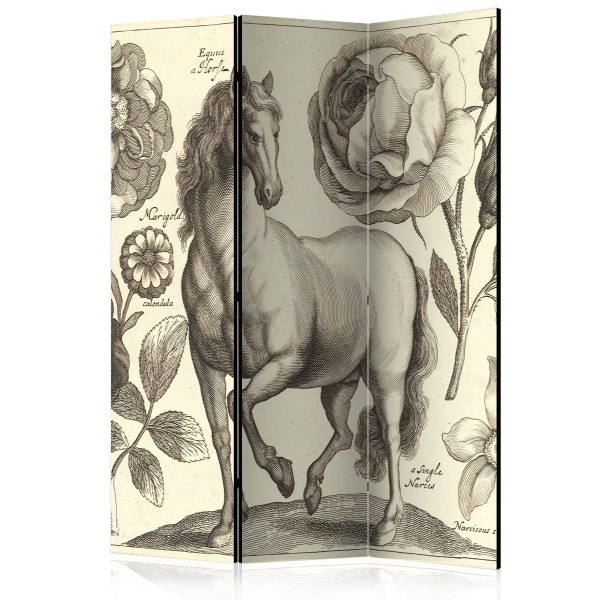 Parawan akustyczny Zwierzęta 135 x 172 cm 1 szt 571502