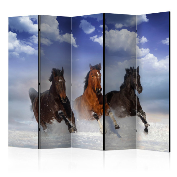 Parawan akustyczny Zwierzęta 225 x 172 cm 1 szt 572279