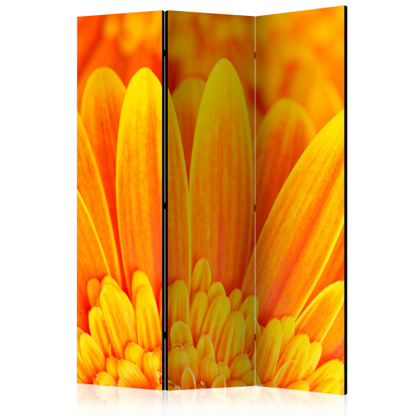 Parawan dwustronny Kwiaty 135 x 172 cm 1 szt 571157