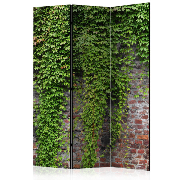 Parawan dwustronny Liście 135 x 172 cm 1 szt 570639