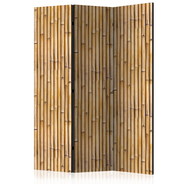 Parawan dwustronny Tła i desenie 135 x 172 cm 1 szt 573200