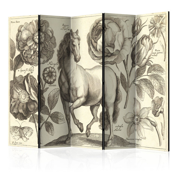Parawan dwustronny Zwierzęta 225 x 172 cm 1 szt 574674