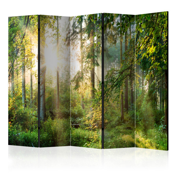 Parawan Jednostronny Nieujarzmiona Przyroda 225x172cm 1095258
