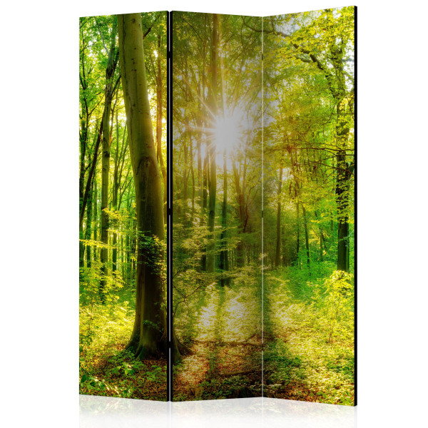 Parawan jednostronny Pejzaże 135 x 172 cm 1 szt 572851