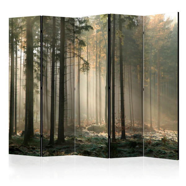 Parawan jednostronny Pejzaże 225 x 172 cm 1 szt 572682
