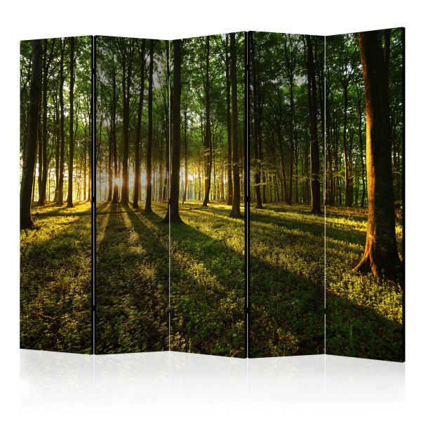 Parawan jednostronny Pejzaże 225 x 172 cm 1 szt 573076
