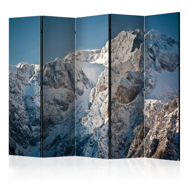 Parawan jednostronny Pejzaże 225 x 172 cm 1 szt 572750