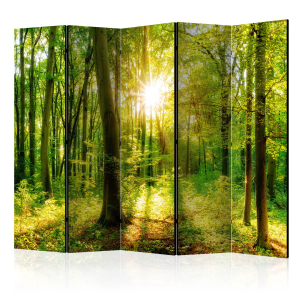 Parawan Jednostronny Promienie lasu 225x172cm 1095221