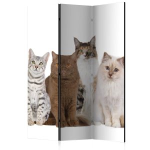 Parawan jednostronny Zwierzęta 135 x 172 cm 1 szt 572411 Parawan jednostronny Zwierzęta 135 x 172 cm 1 szt 572411