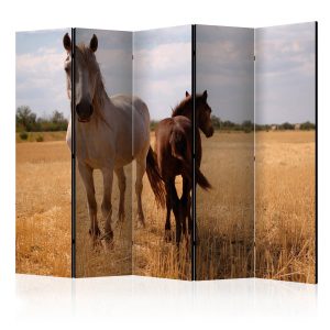 Parawan jednostronny Zwierzęta 225 x 172 cm 1 szt 574081 Parawan jednostronny Zwierzęta 225 x 172 cm 1 szt 574081