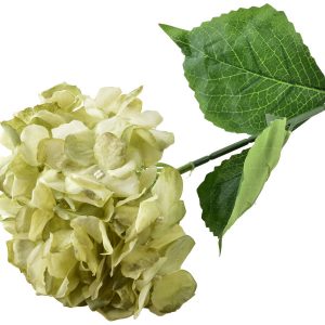 VIRIDIS Kwiat sztuczny HORTENSJA 73cm 509756 VIRIDIS Kwiat sztuczny HORTENSJA 73cm 509756
