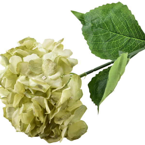 VIRIDIS Kwiat sztuczny HORTENSJA 73cm 509756