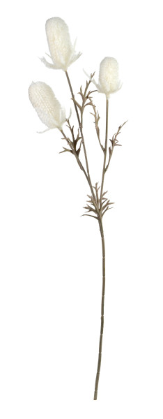 VIRIDIS Kwiat sztuczny Oset gałązka 70cm 742963