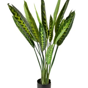 VIRIDIS Sztuczny kwiat kalatea 15x14x109cm 802397 VIRIDIS Sztuczny kwiat kalatea 15x14x109cm 802397