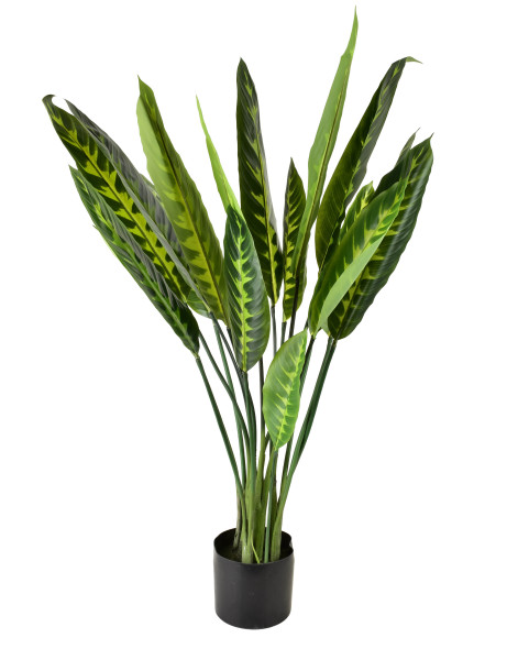 VIRIDIS Sztuczny kwiat kalatea 15x14x109cm 802397